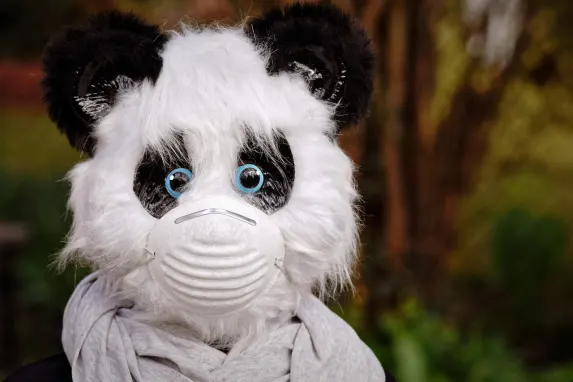 TopBet Casino Stuðningur